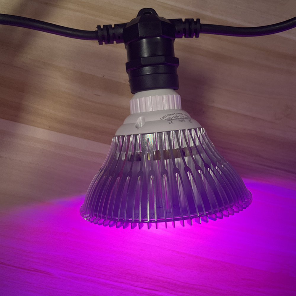 Светодиодная гирлянда 10 м, ко – обзор и цена Outdoor Lighting Construction